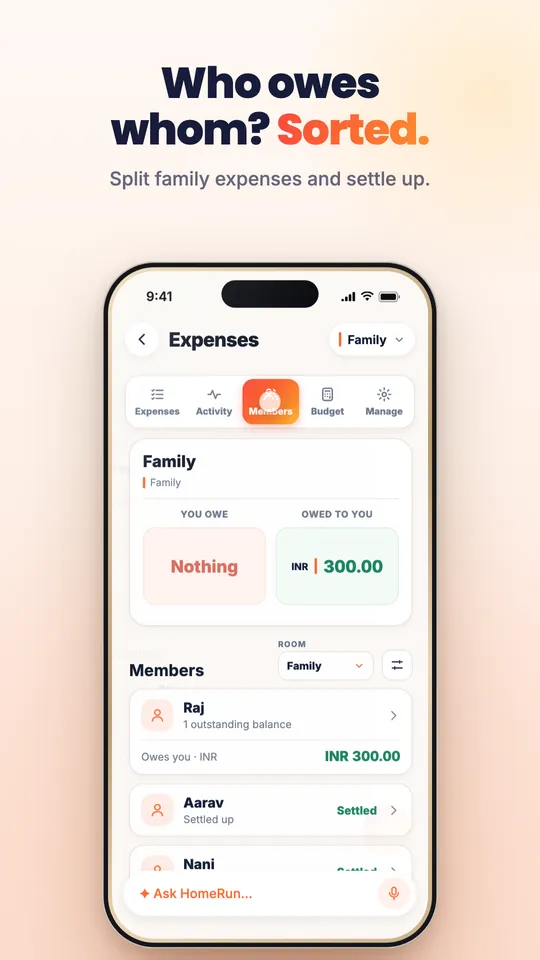 Home Run family expenses showing balances
